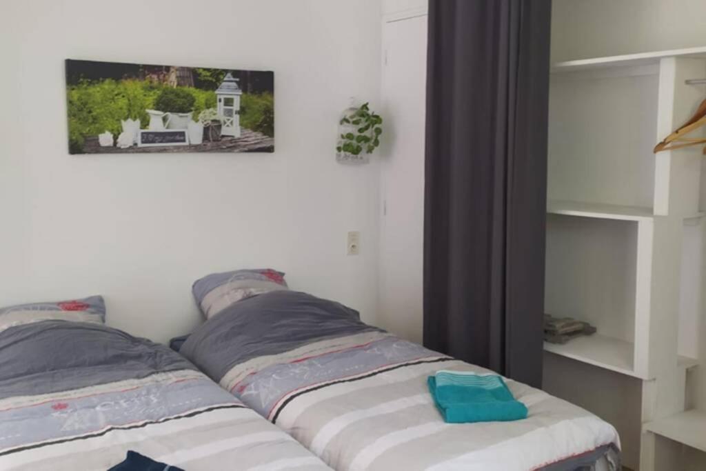 12 Rdc Appartement 2 Chambres Jardin Terrasse Plonéour-Lanvern Zewnętrze zdjęcie